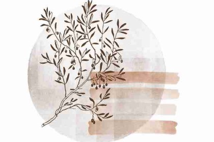 流行密码！51漫画趋势前瞻终极剖析