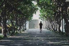 P站官方官网——用户画像体验手记背后真相